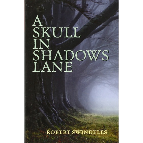 a-skull-in-shadows-lane