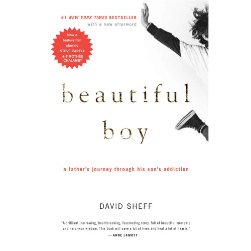 BEAUTIFUL BOY A FATHER S JOURNEY THROUGH HIS SON S ADDICTION