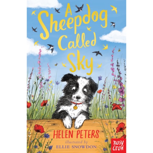 A SHEEPDOG CALLED SKY
