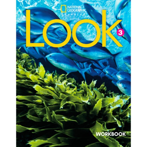 LOOK 3 WORKBOOK AMERICAN ENGLISH 