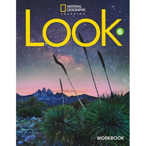LOOK 6 WORKBOOK AMERICAN ENGLISH 
