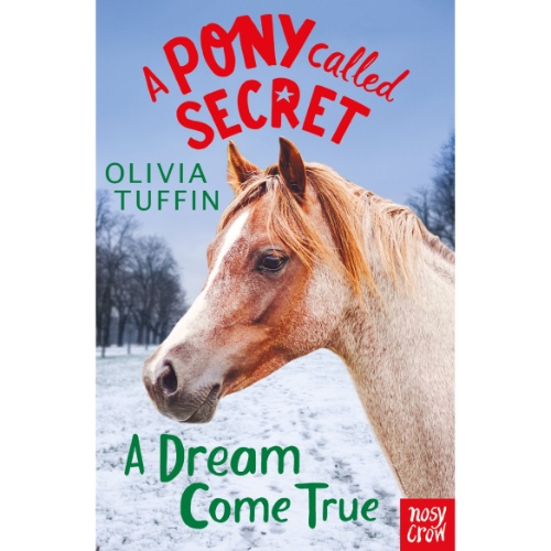 A PONY CALLED SECRET A DREAM COME TRUE