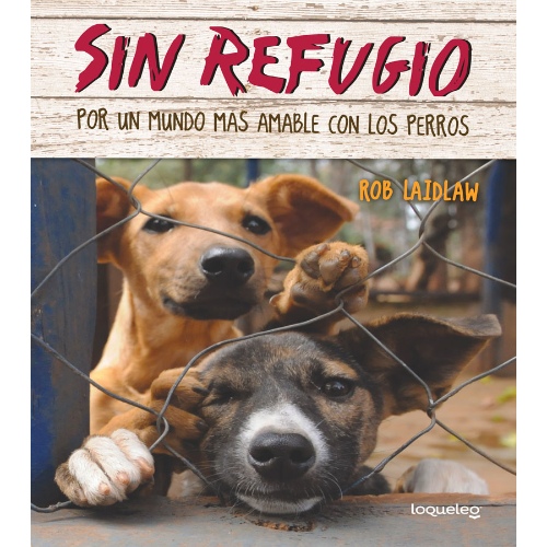 sin-refugio