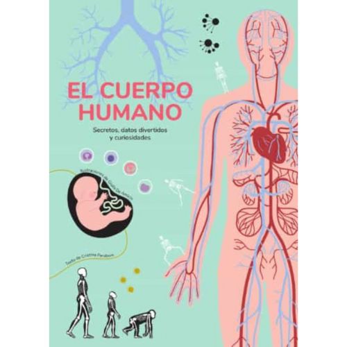 EL CUERPO HUMANO